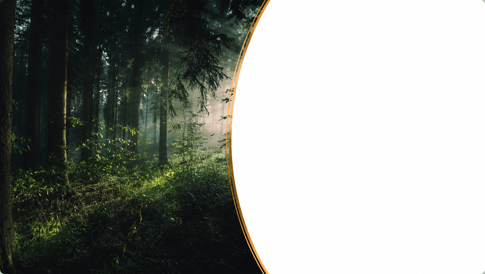 Forest Products, Paper and Packaging